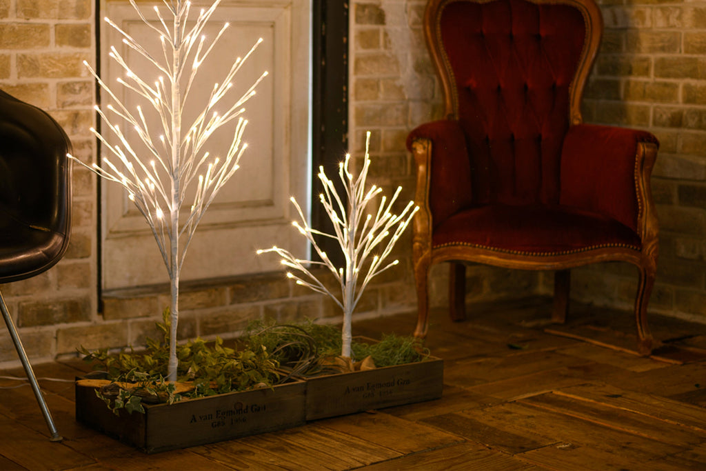 BOTANIC BRANTREE