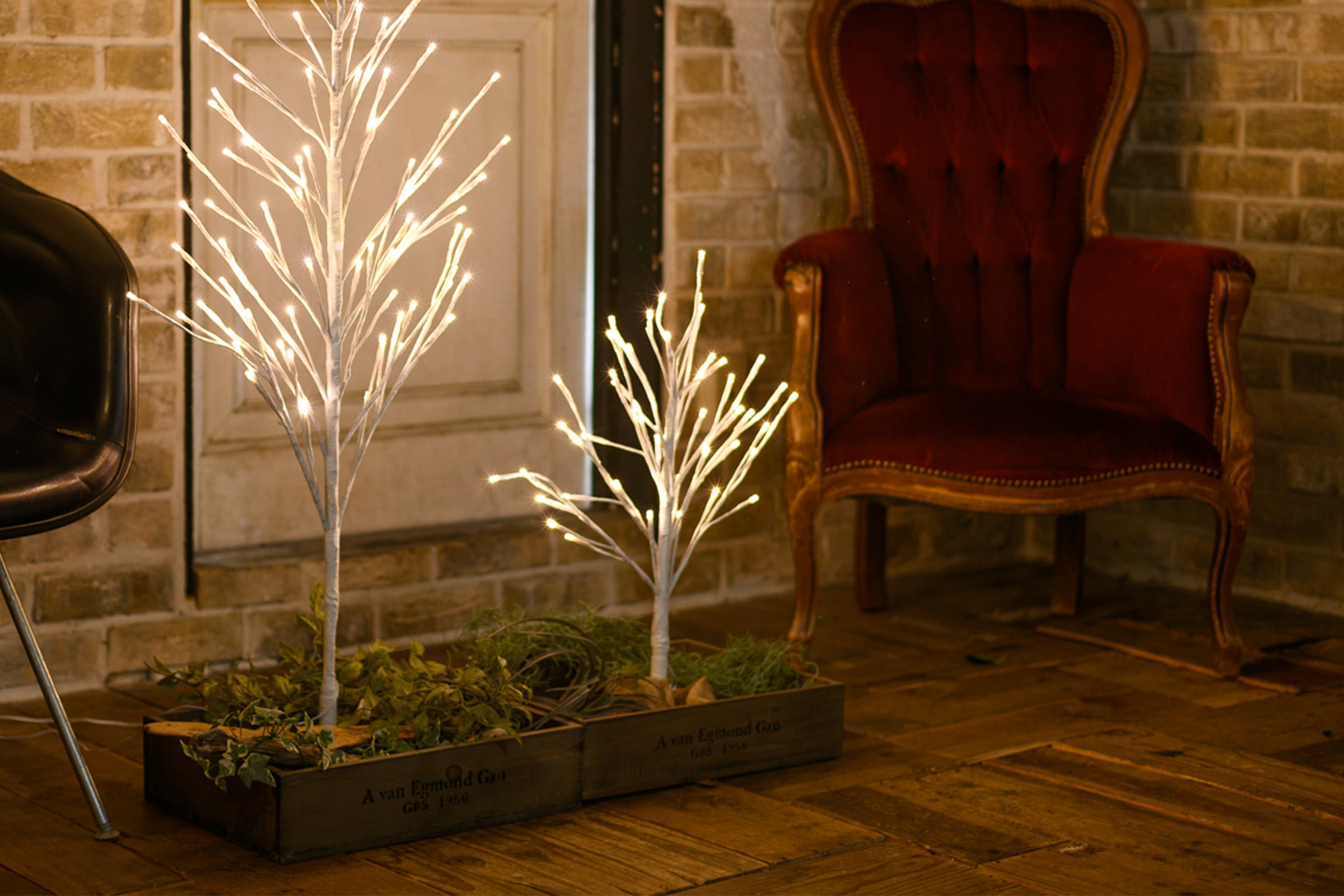BOTANIC BRANTREE