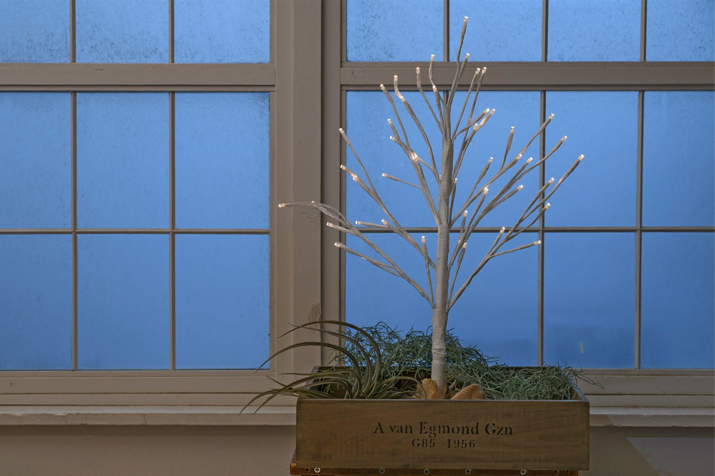 BOTANIC BRANTREE