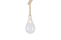 BOTANIC HANGING LIGHT